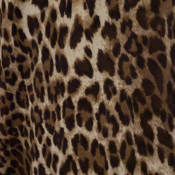 Cheetah Print Maxi Dress - Picture 2 of 2